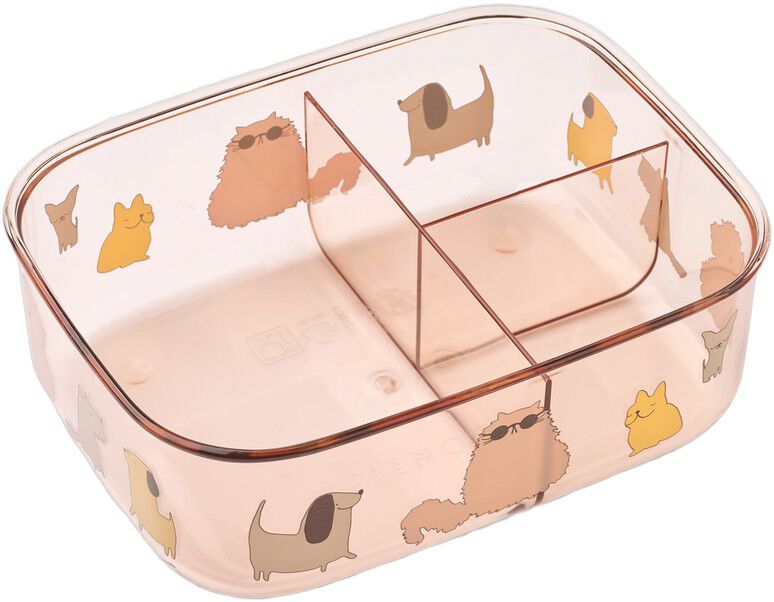Arthur Tritan Lunchbox