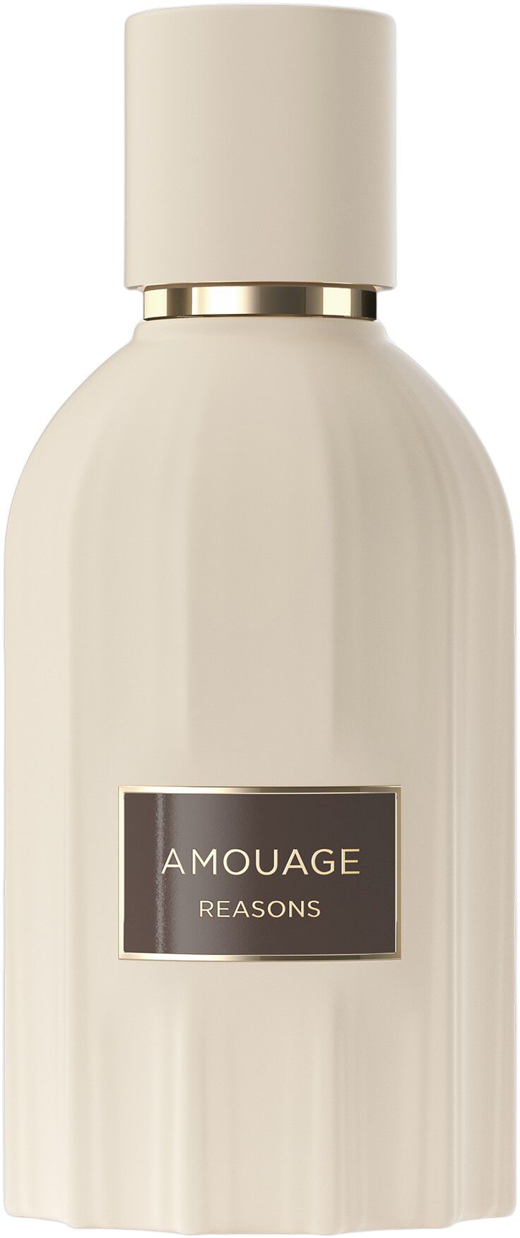 Amouage Reasons Essence De Parfum 100 ml