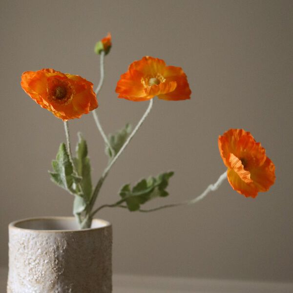 Poppy Flower