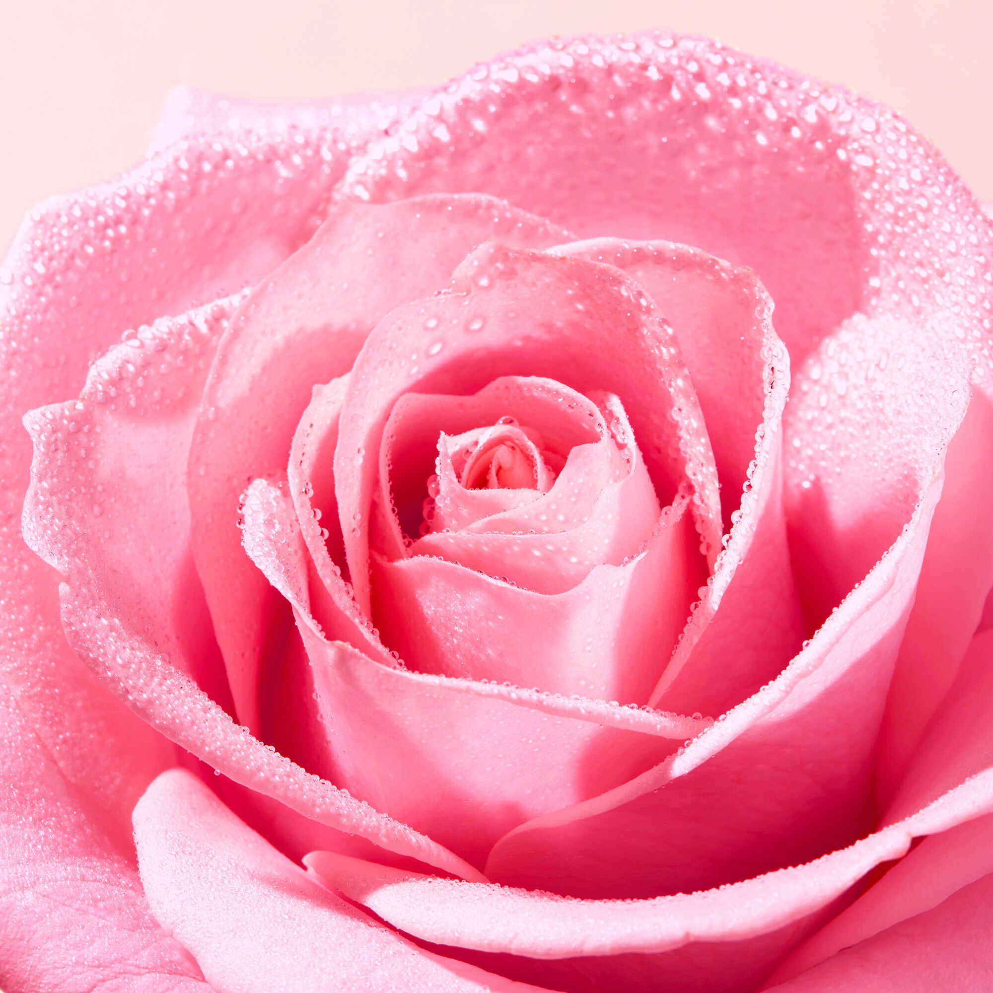 VERY ROSE SOOTHING CLEANSING GEL 150 ML