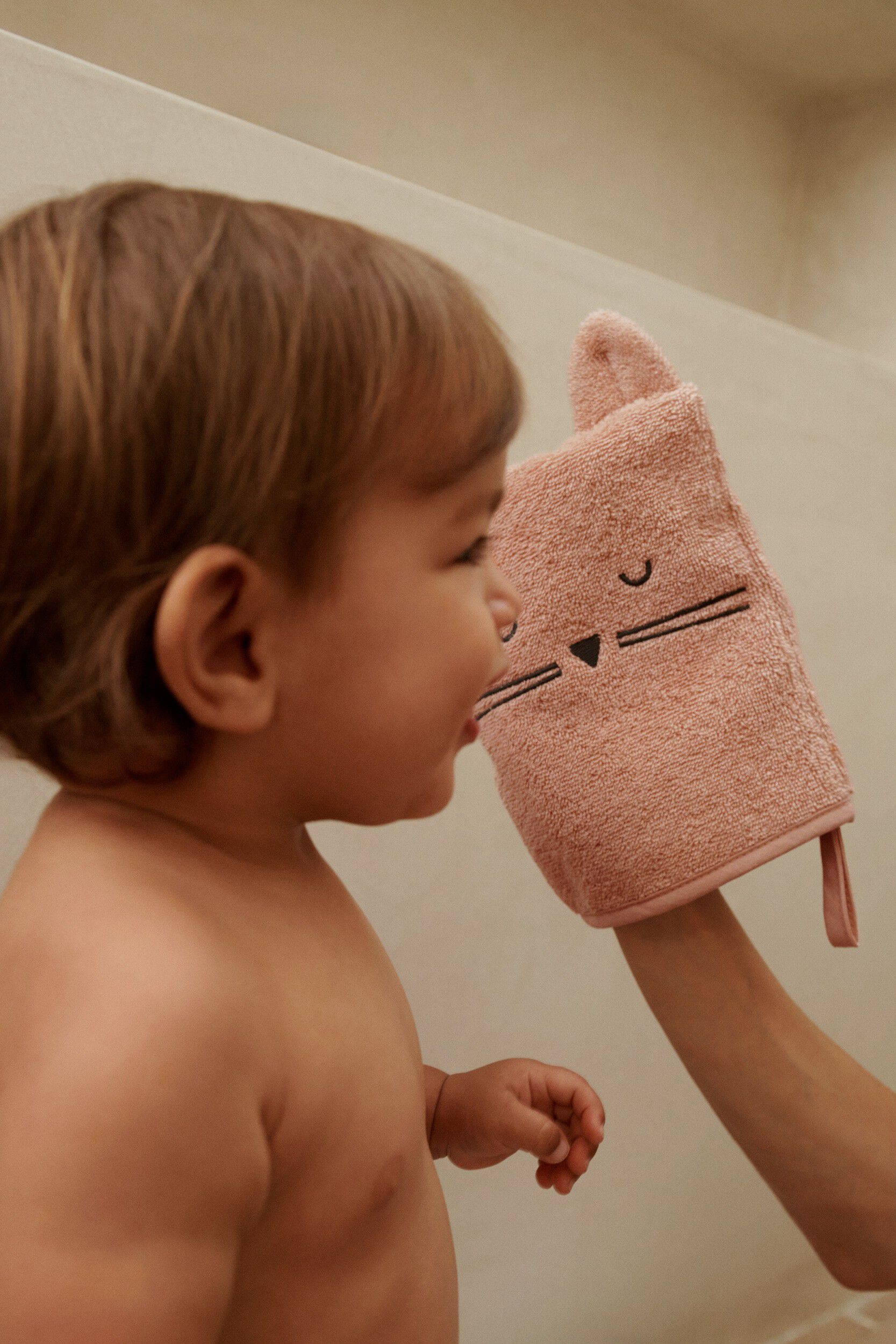 Sylvester Classic Washcloth 3-Pack