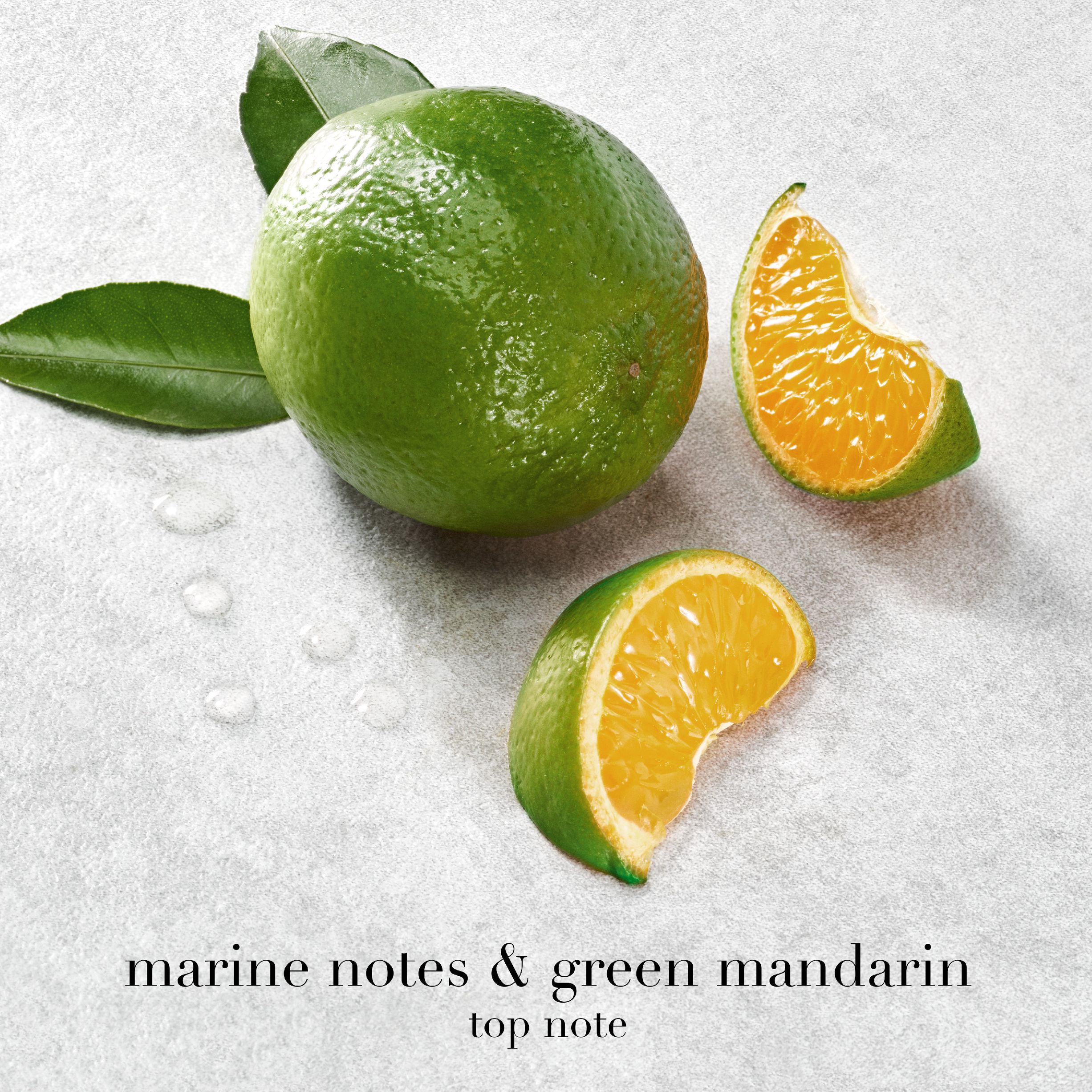 Acqua di Gi&ograve; Eau de Parfum
