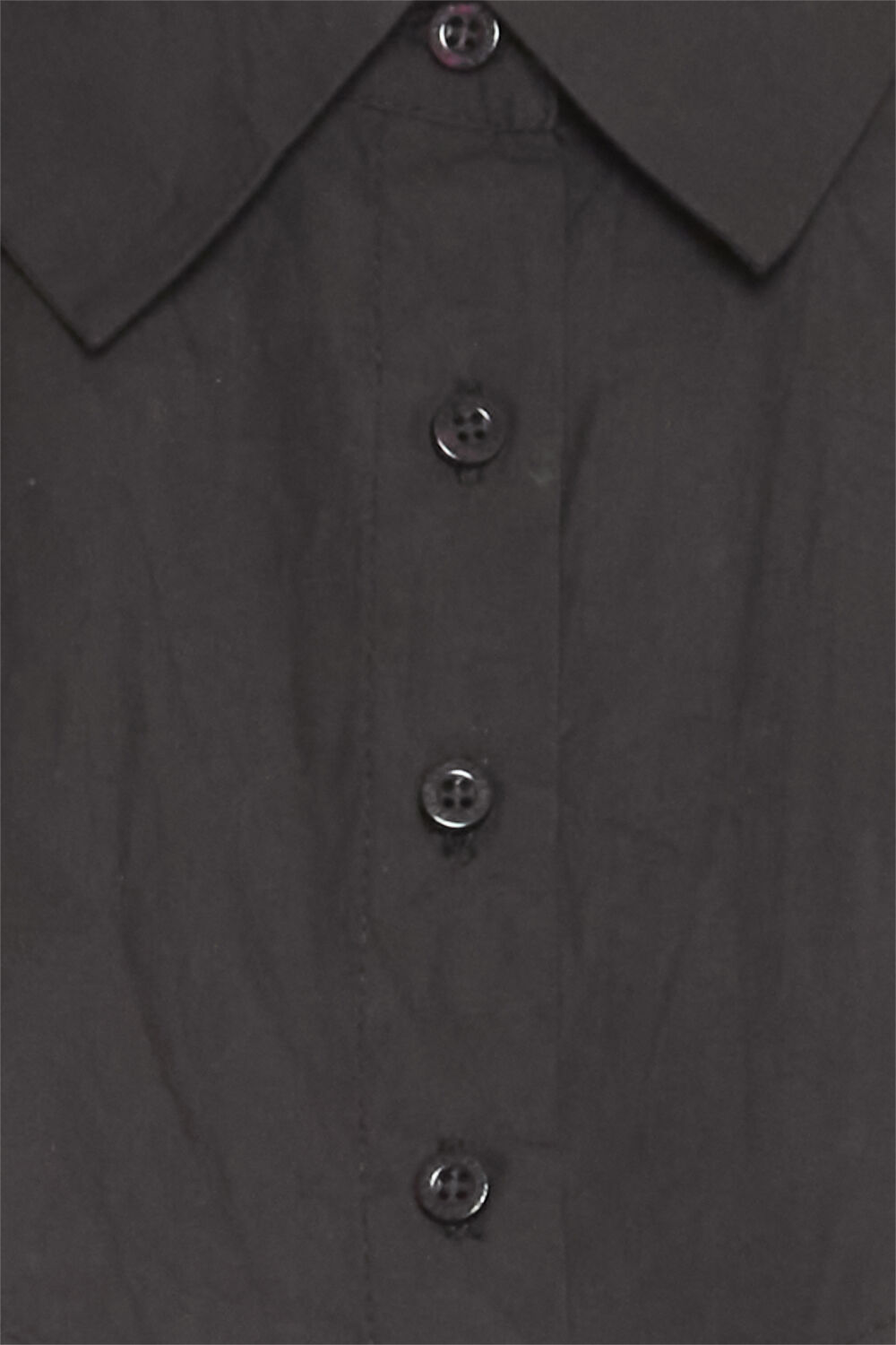 FAZACOLLAR 1 Accessoires