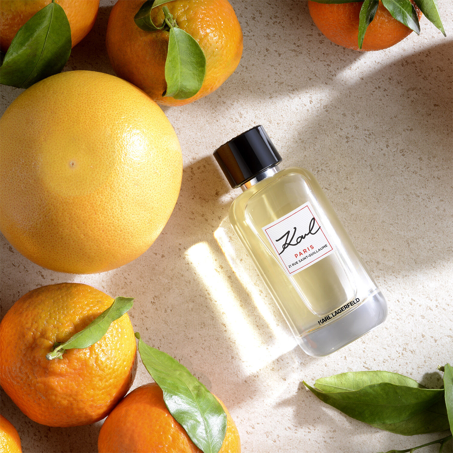 Paris 21 Rue Saint-Guillaume EdP 100ml