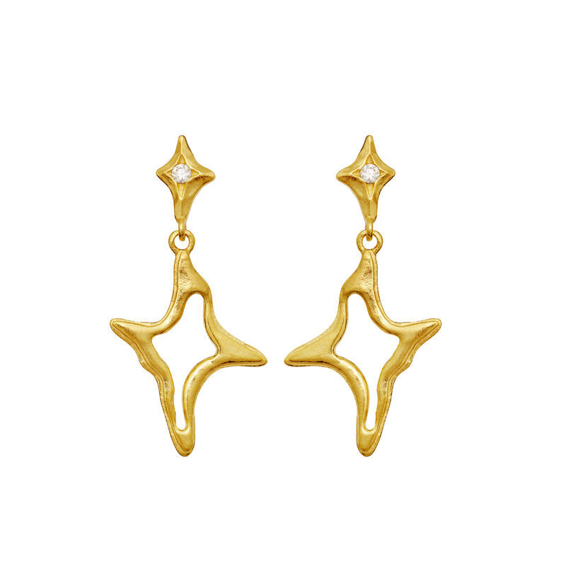 Roxy Earrings