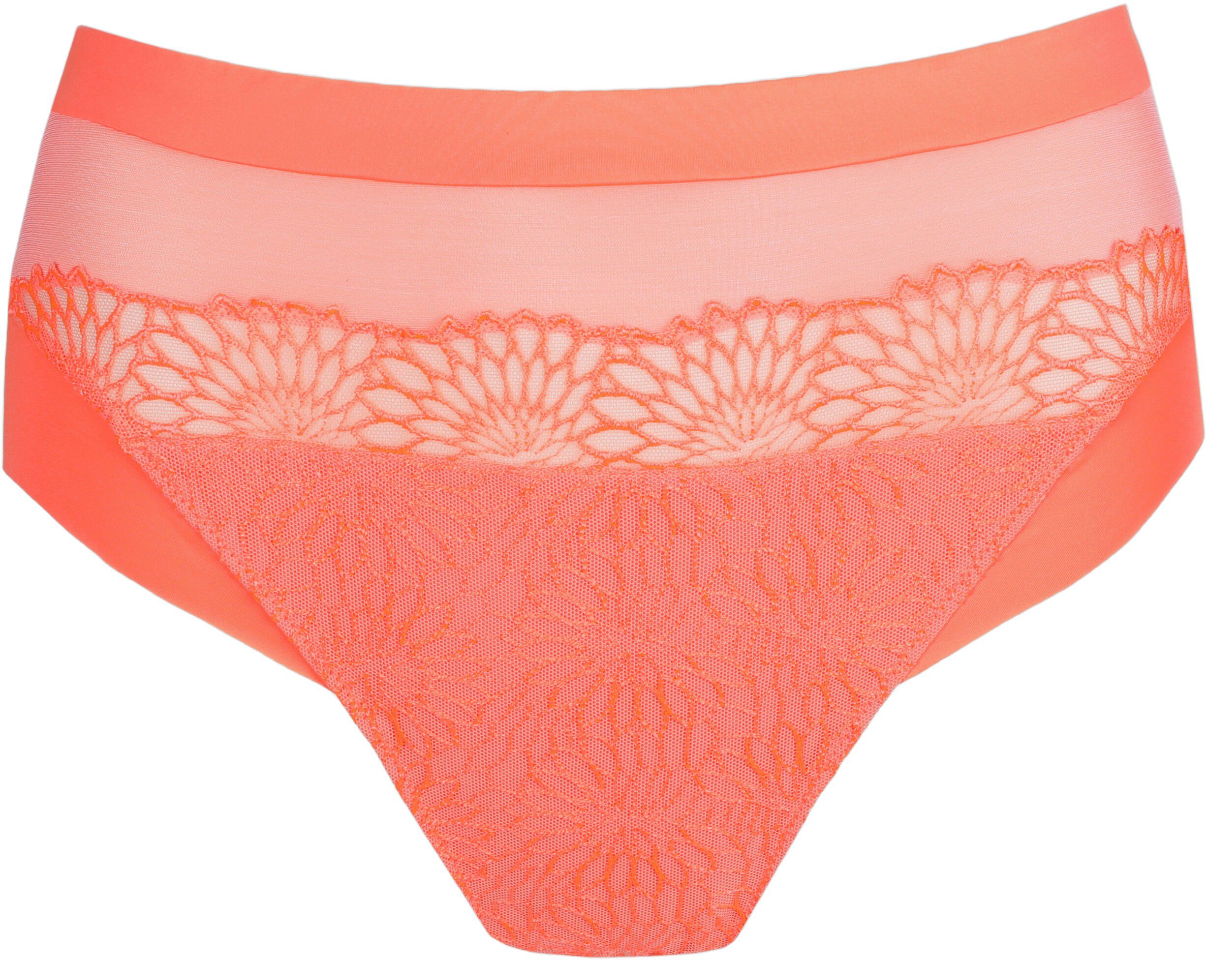 Sophora full briefs