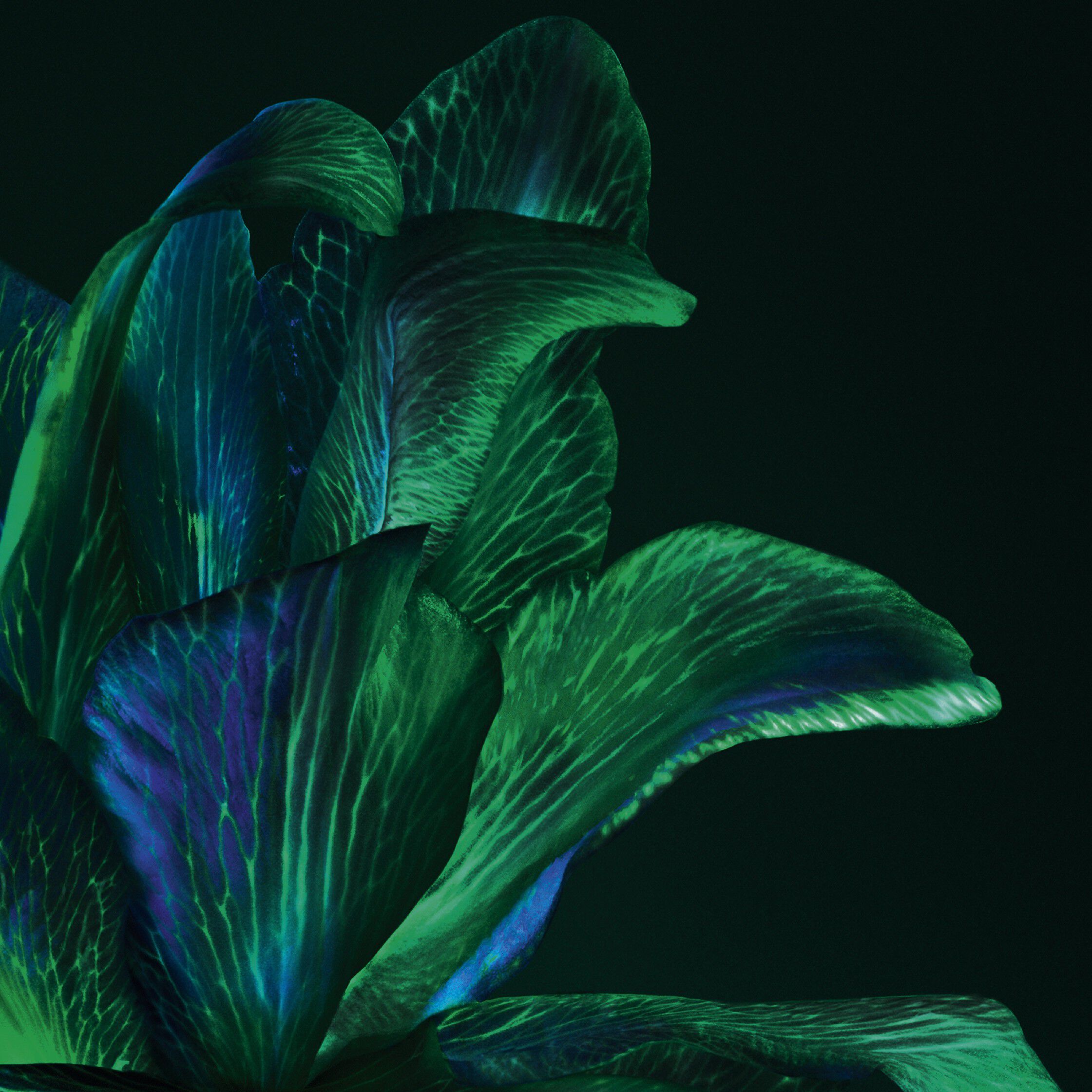 Helena Rubinstein Powercell Skin Rehab 50ml