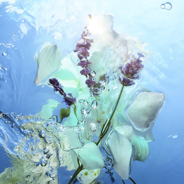 Calm Bliss - Fragrance Collection of Emotions