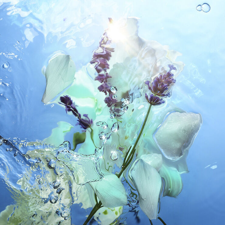 Calm Bliss - Fragrance Collection of Emotions