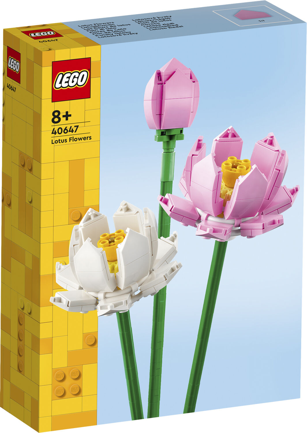 Lotusblomster 40647