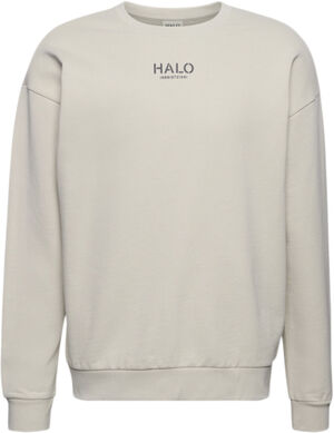 HALO GRAPHIC CREW 02