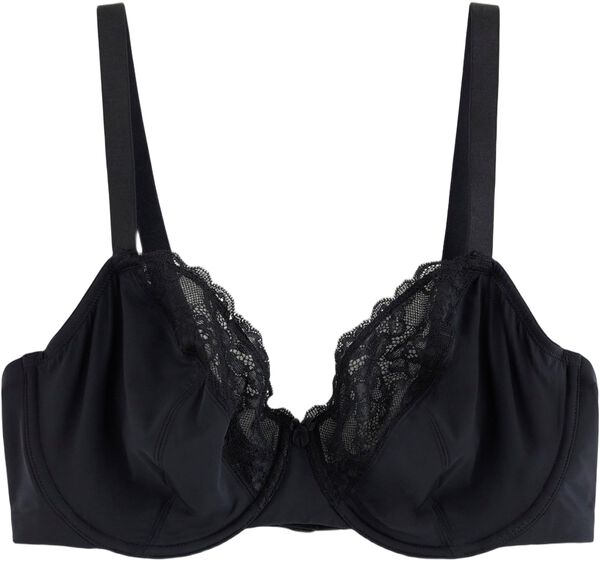 Aster BH uten vattering