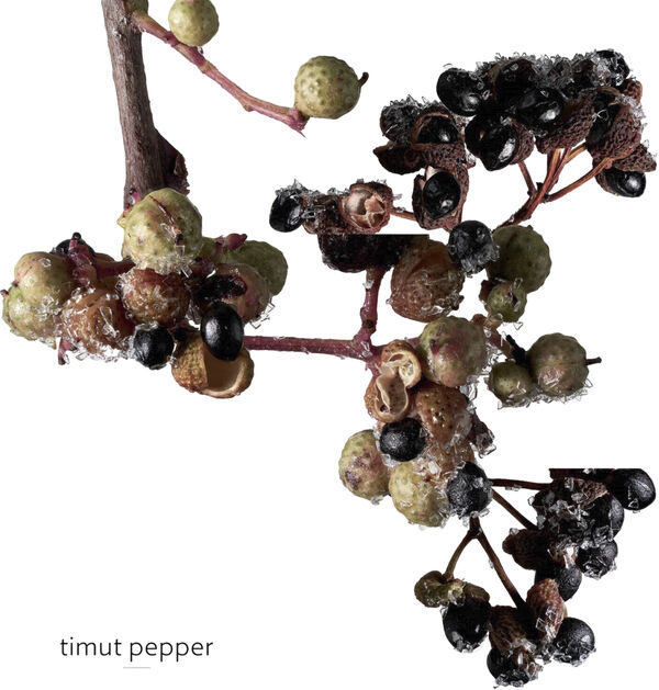 TERRE D'HERMÈS EAU GIVRÈE EAU DE PARFUM