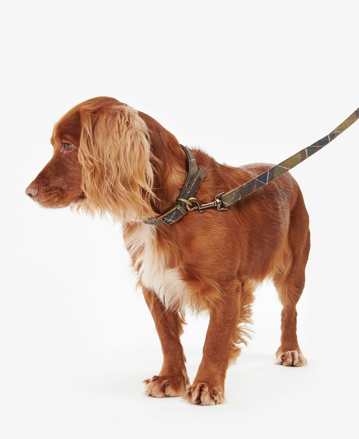 Barbour Tartan/Webbing Dog Lead