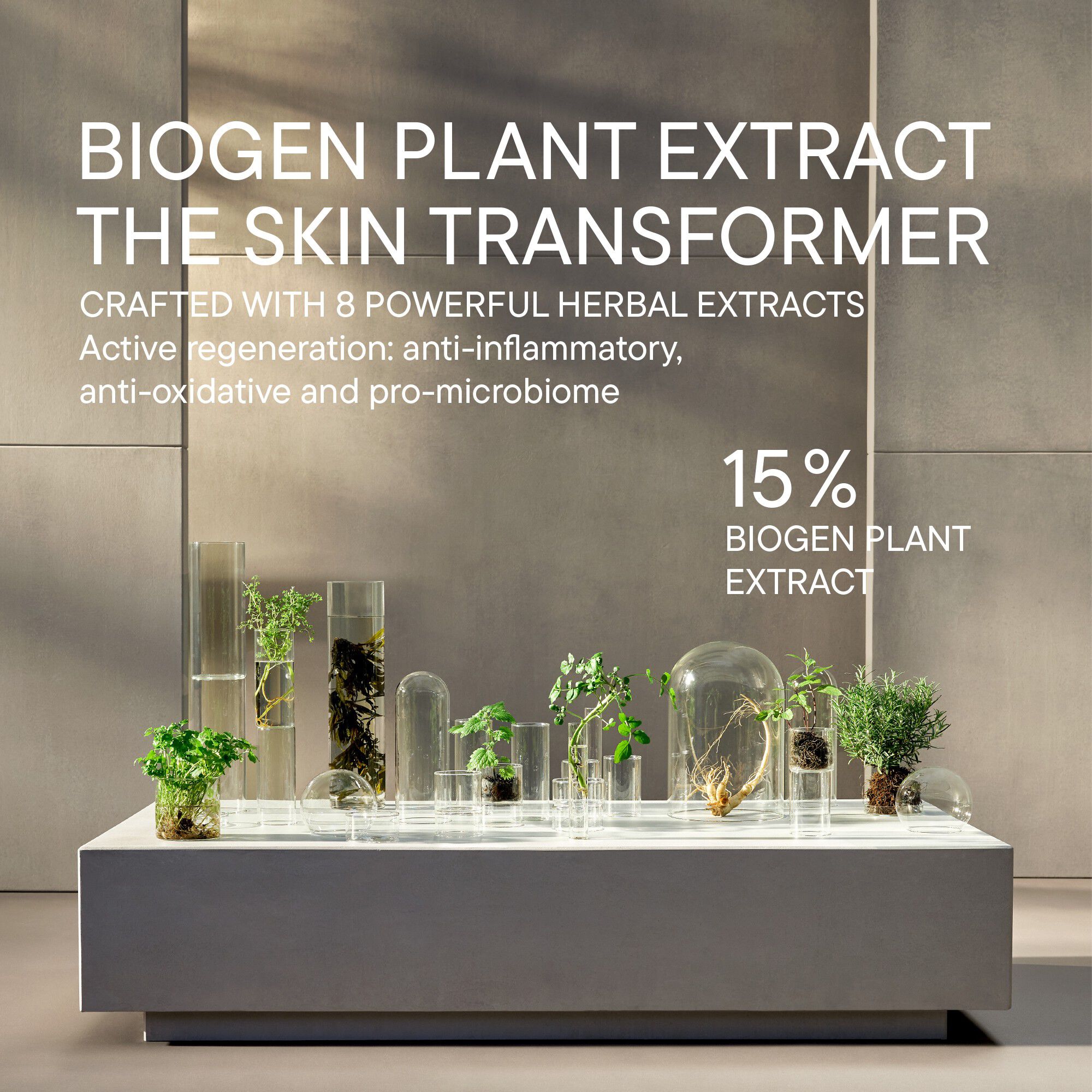 RENEWAL EYE ZONE PATCH