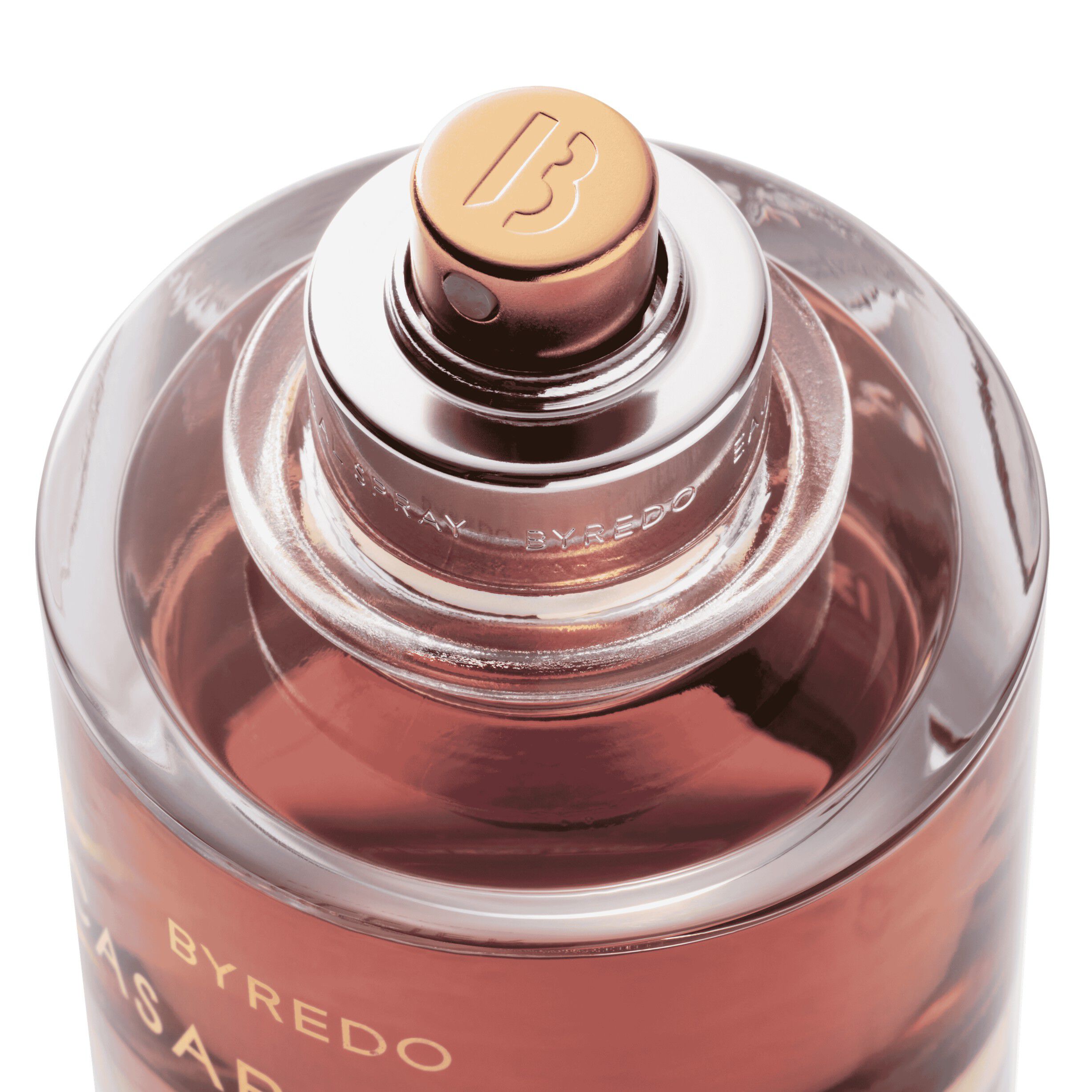 Night Veils Casablanca Lily