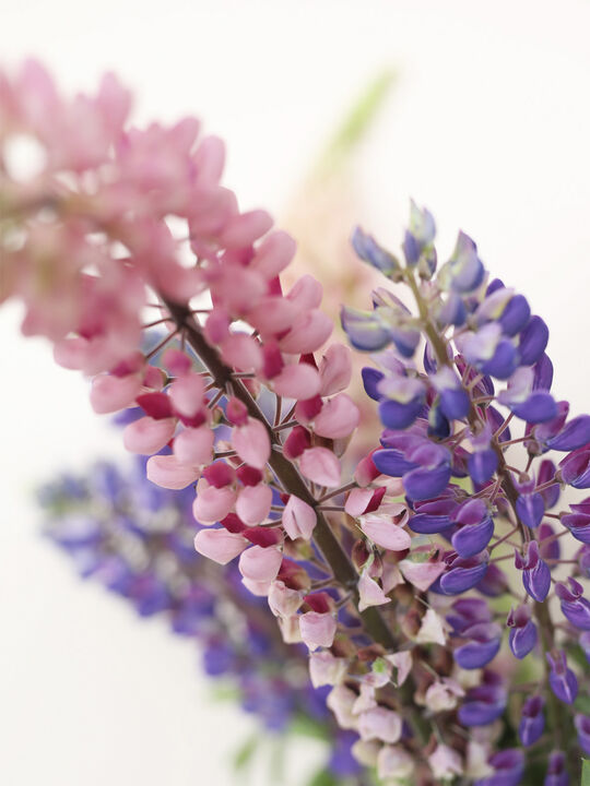 BUBBLE TUBE, LARGE, ROSE/ROSE, 90270R