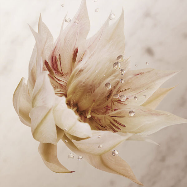 Olympea Deodorant Spray 150 ml.