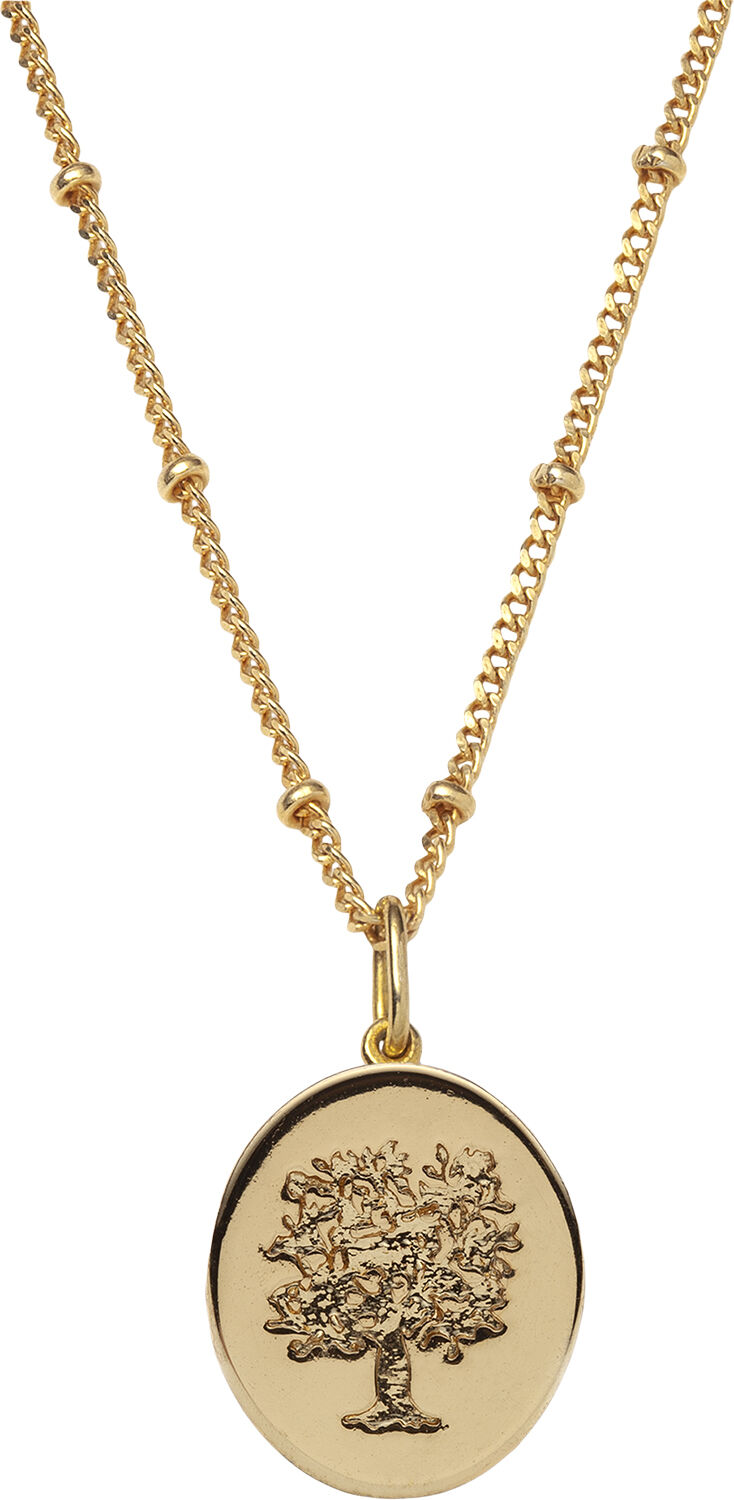 Tree of Life Medallion