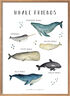 Nicoline Victoria-Kids - Whale friends