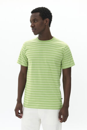 MAjeramy Stripe