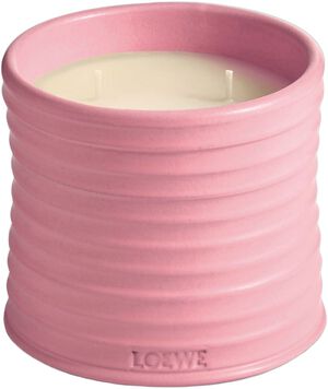 LOEWE Medium Ivy Candle