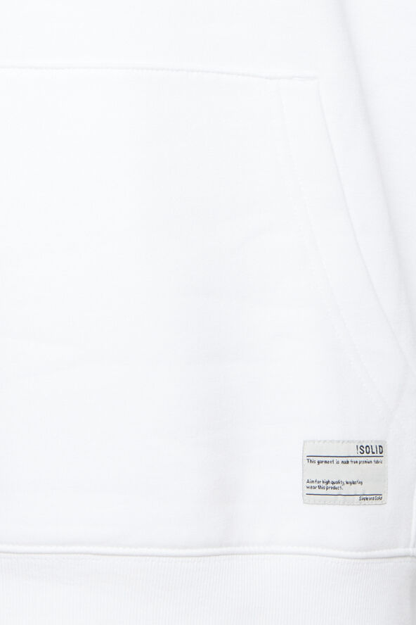 SDLENZ HOOD SW Sweatshirt