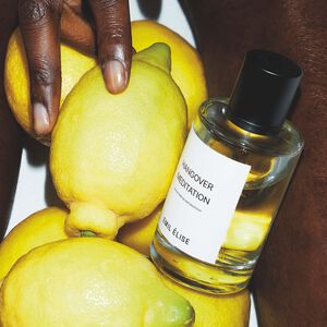 EMIL &Eacute;LISE Hangover Meditation EdP 100 ml