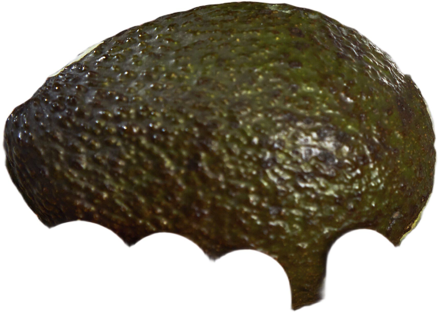 FOUR STAR Tomatkniv 13 cm