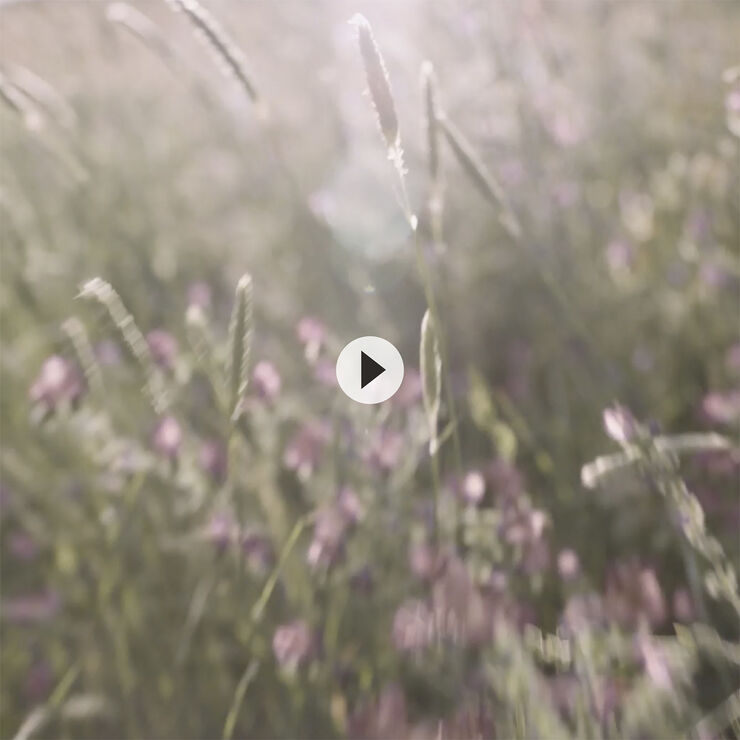 White Tea Eau Florale Eau de Toilette