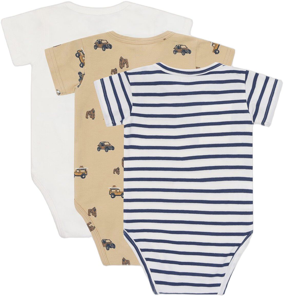 Body Hcbertram 3-Pack Safari