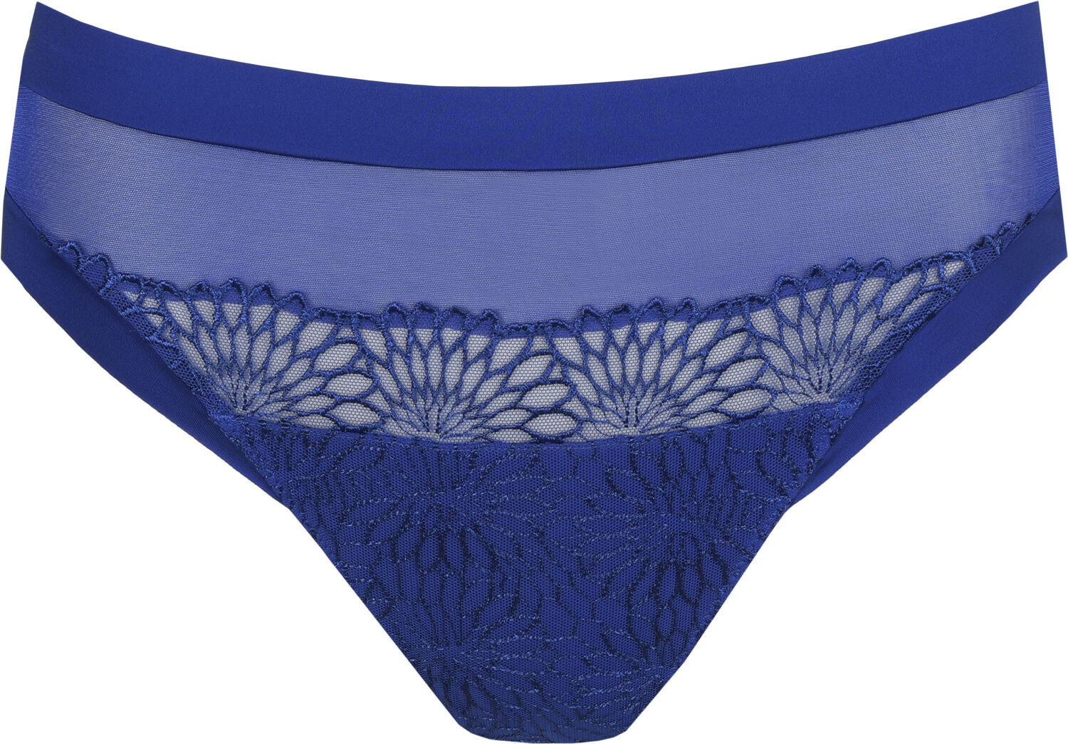 Sophora rio briefs
