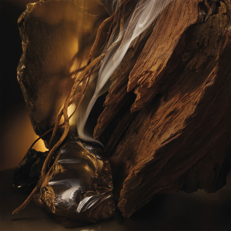 Bottled Elixir Eau de Parfum