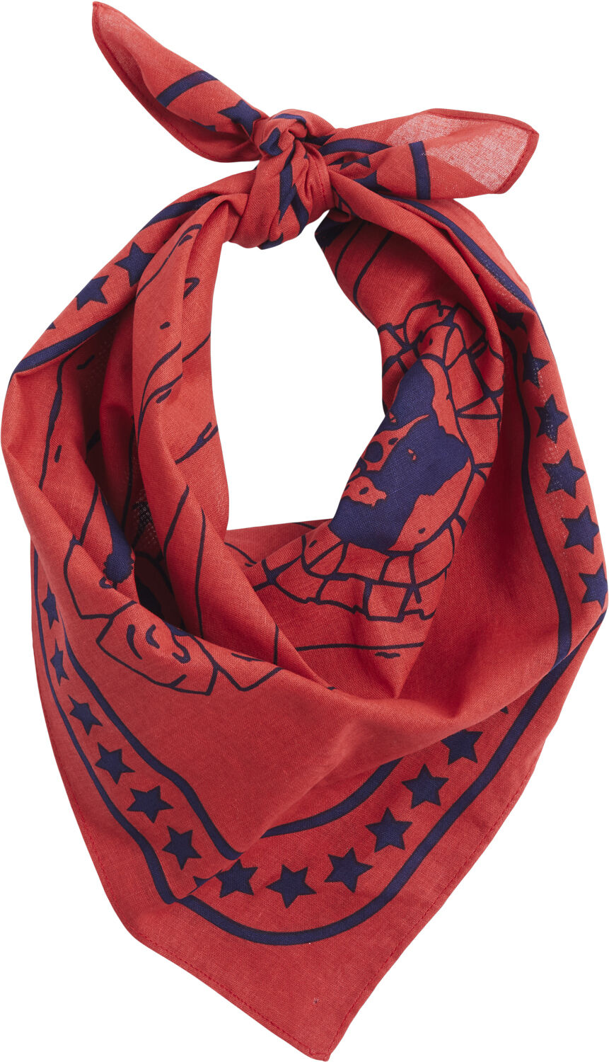 HAY Dogs Scarf-55 x 55-Red