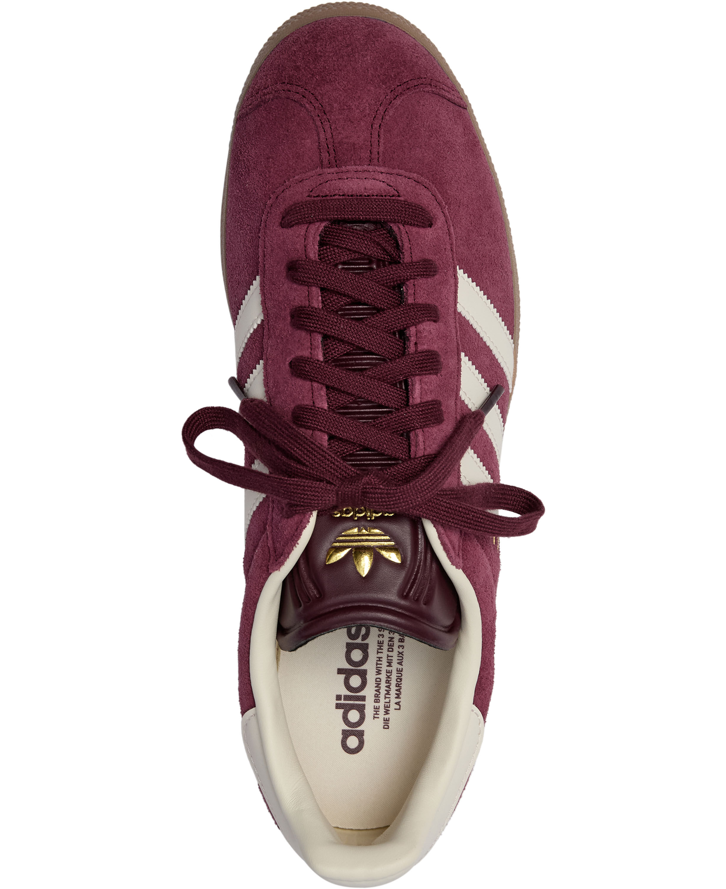 GAZELLE