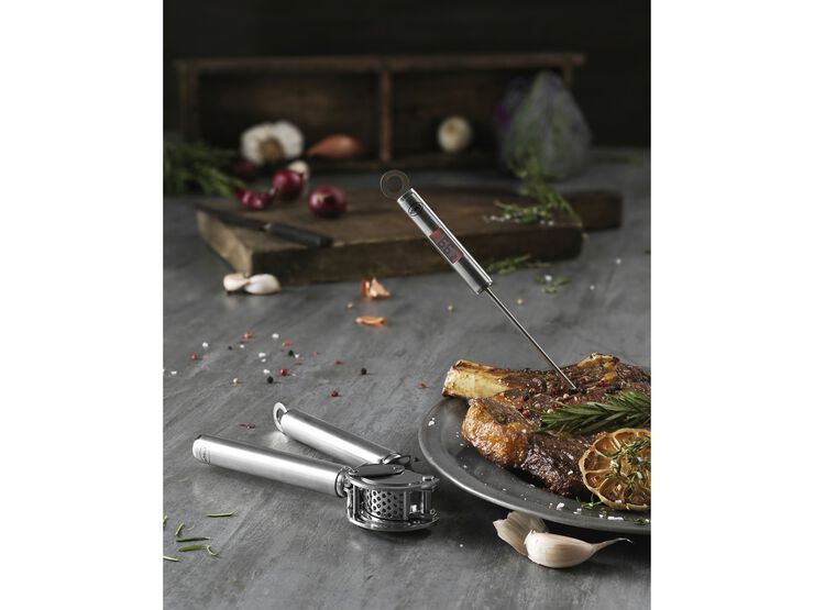 Termometer Gourmet 22 cm Stål