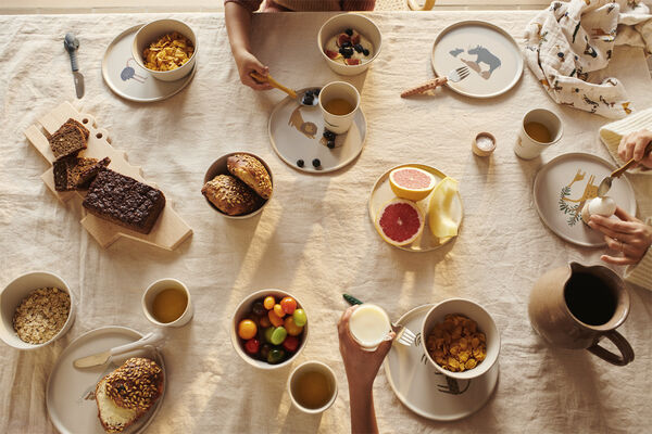 Lana Cup 6-Pack Dinosaurs / Mist-On