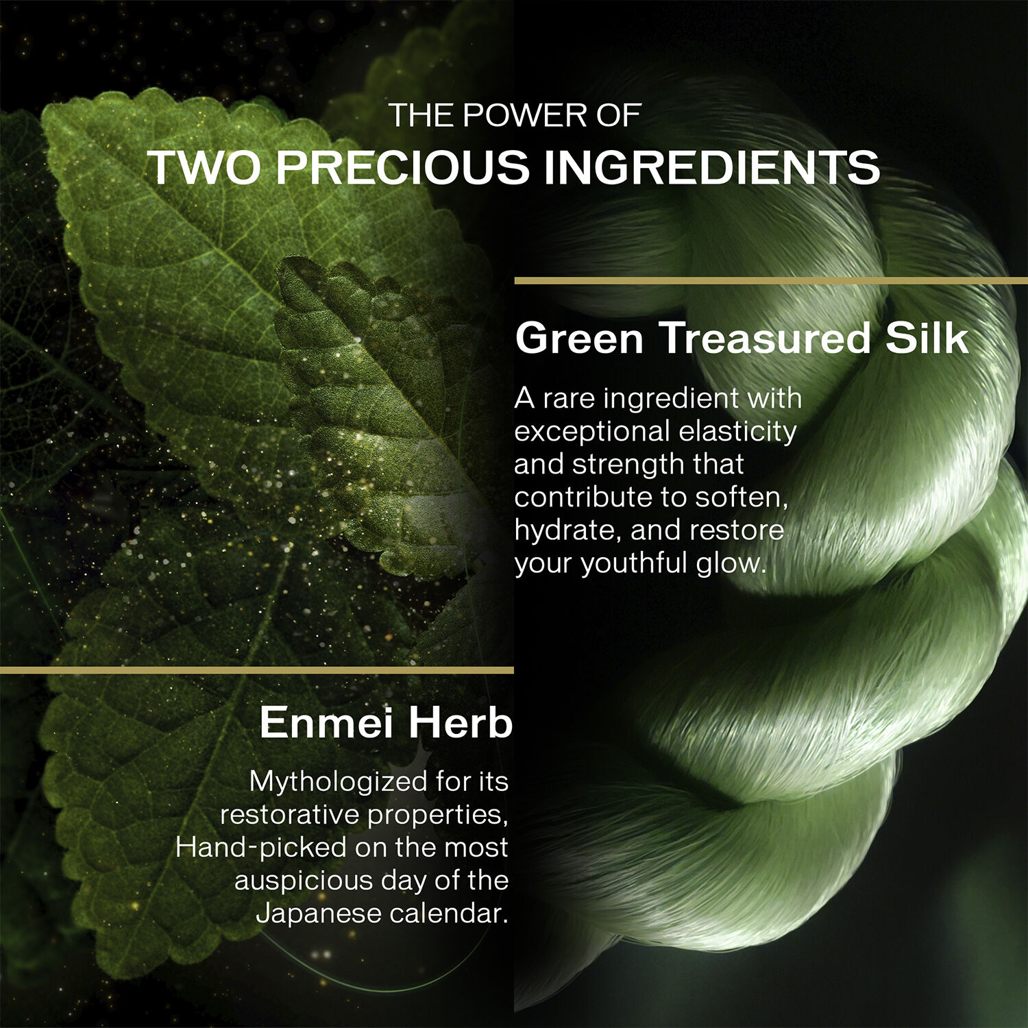 SHISEIDO Future Solution Legendary enmei cream 50 ML