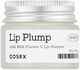 Refresh AHA BHA Vitamin C Lip Plumper