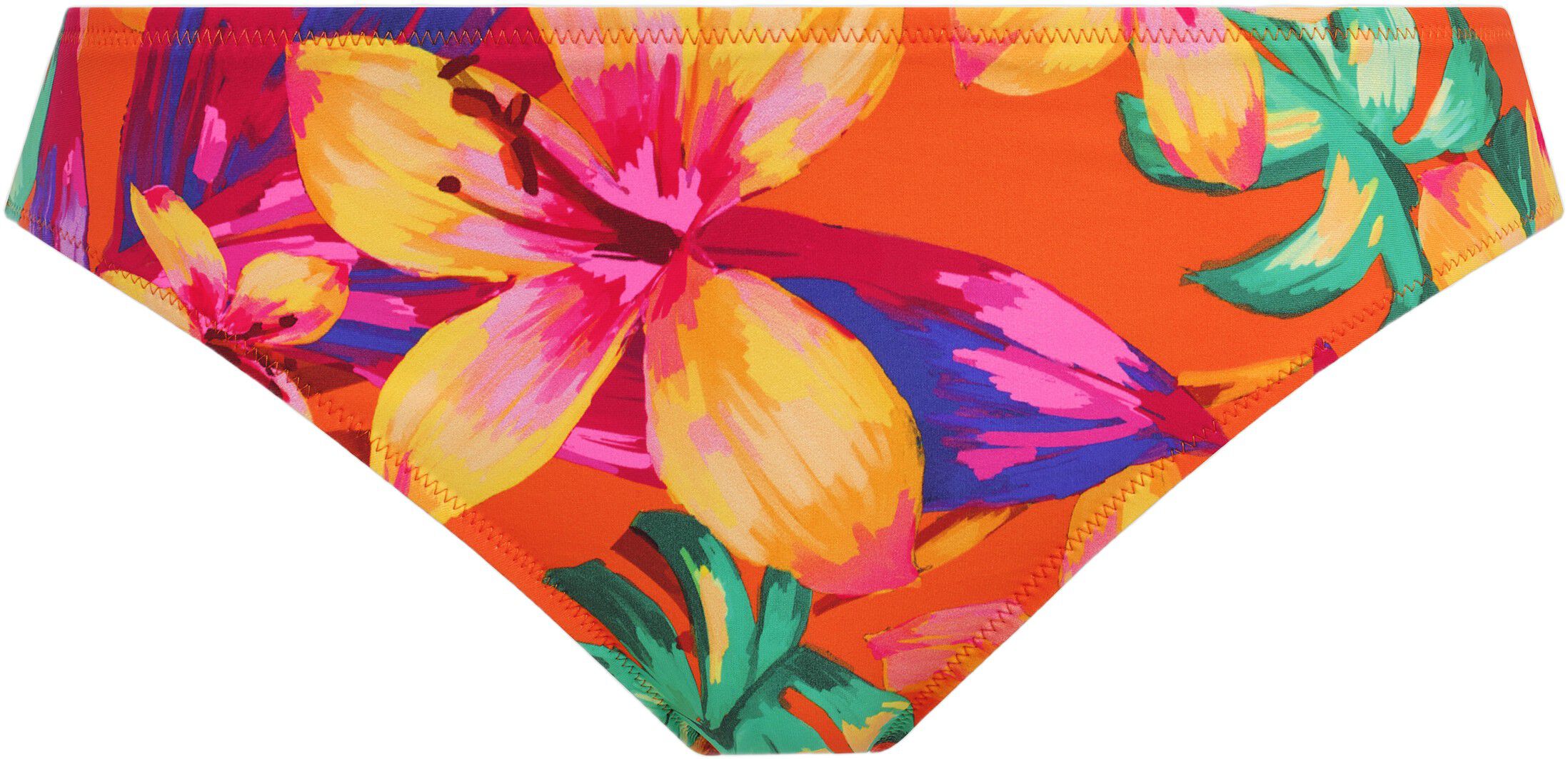 SUN HAZE BIKINI BRIEF