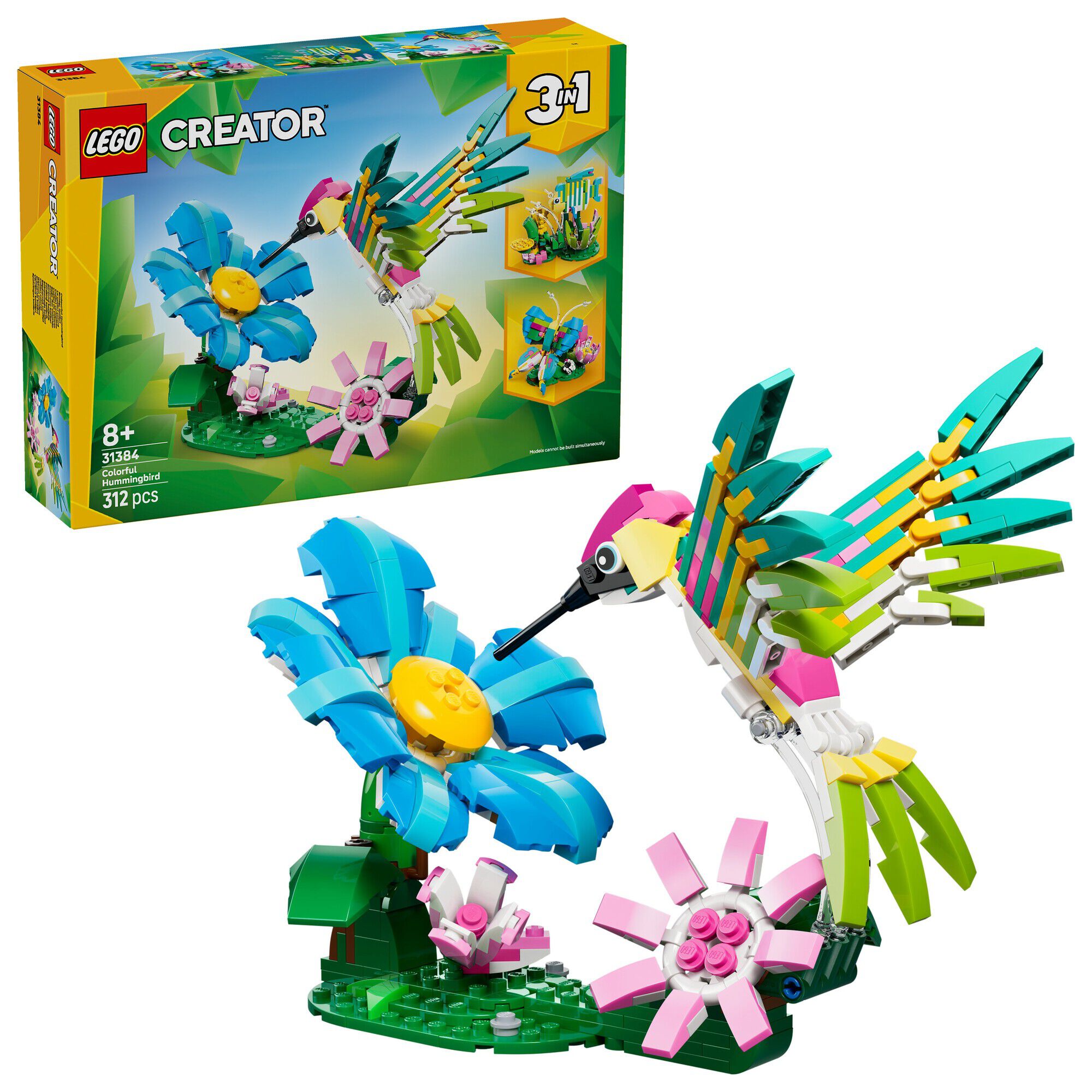 Vilde dyr - Farverig kolibri 31384