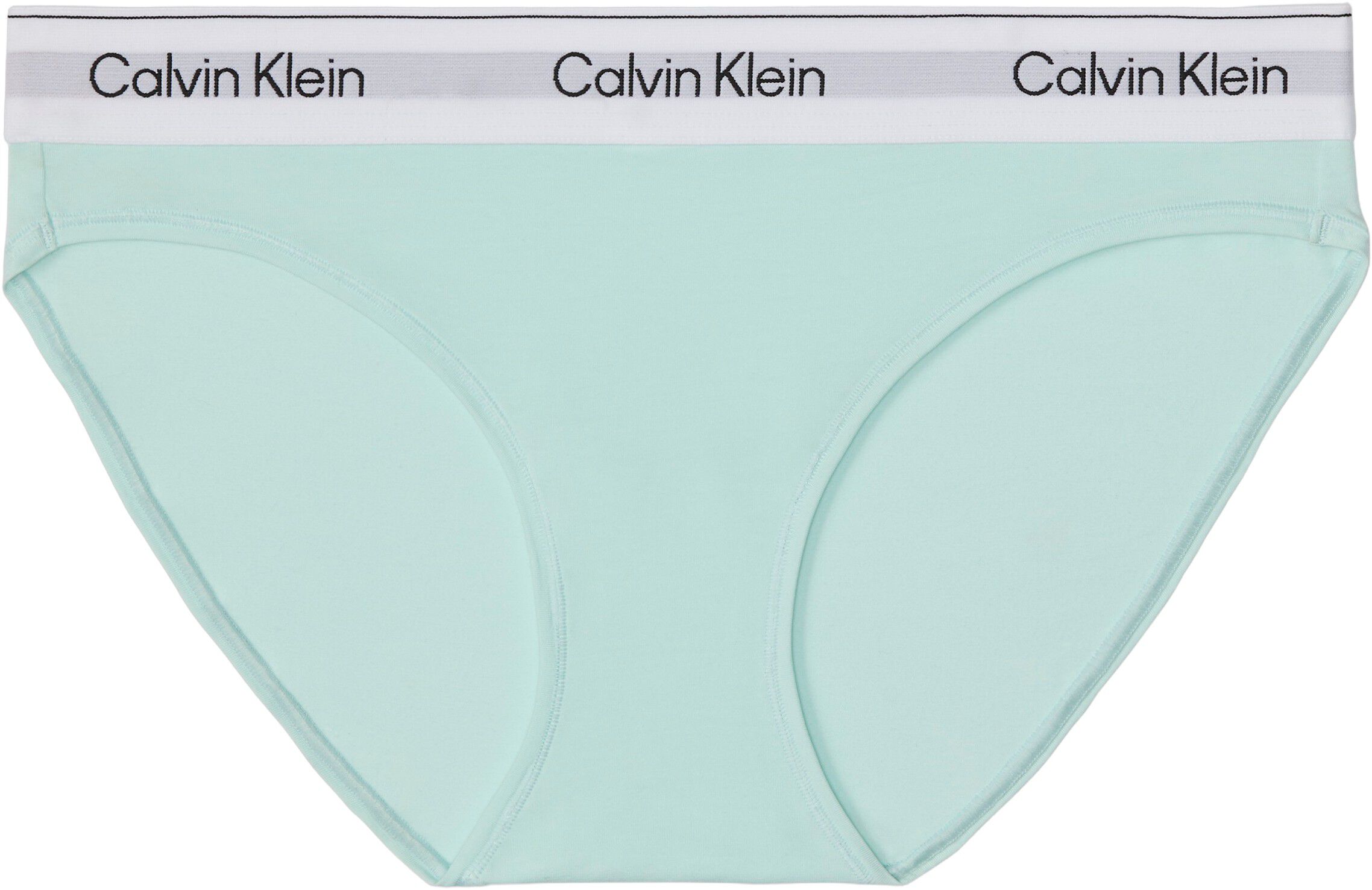 Icon Cotton Modal Briefs