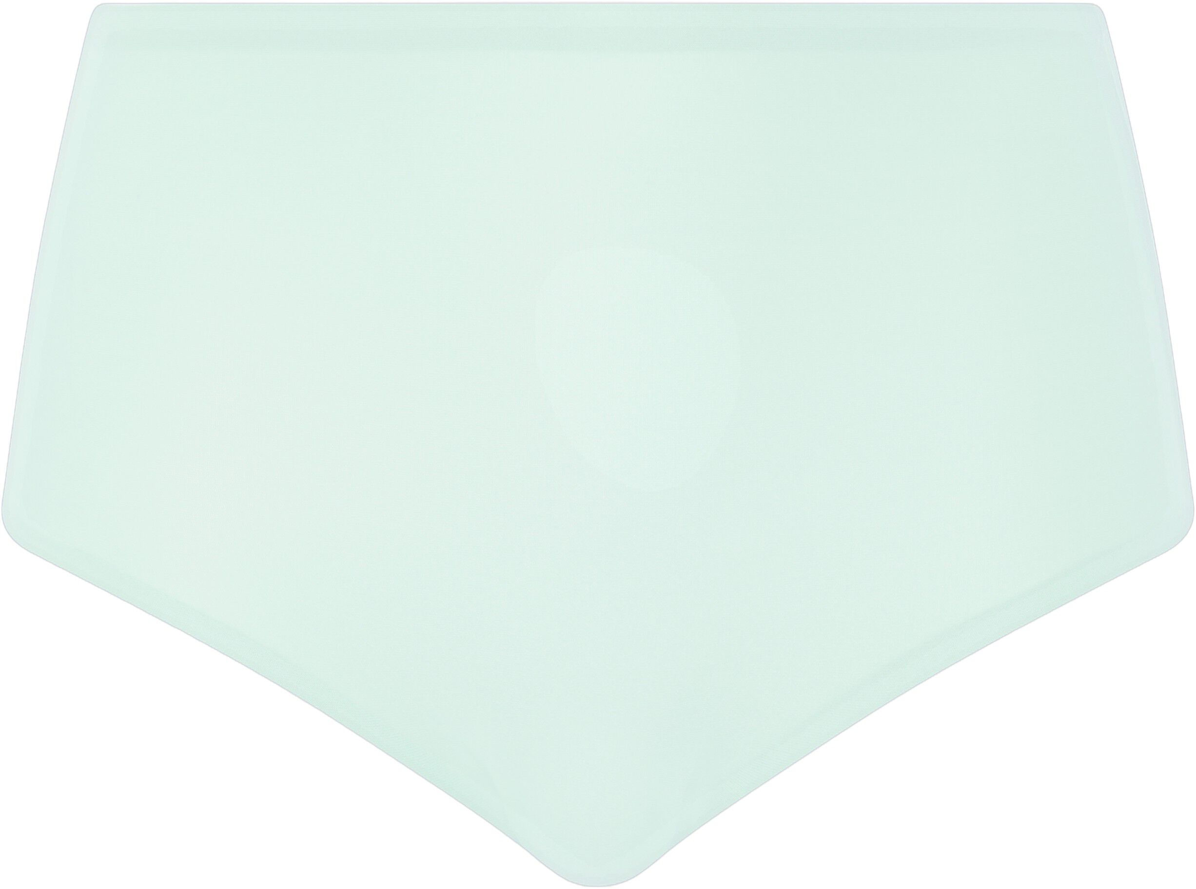 Softstretch High Waist Brief