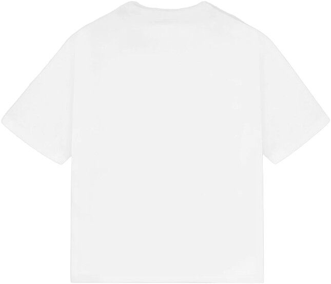 AW26 FIELD BOX FIT