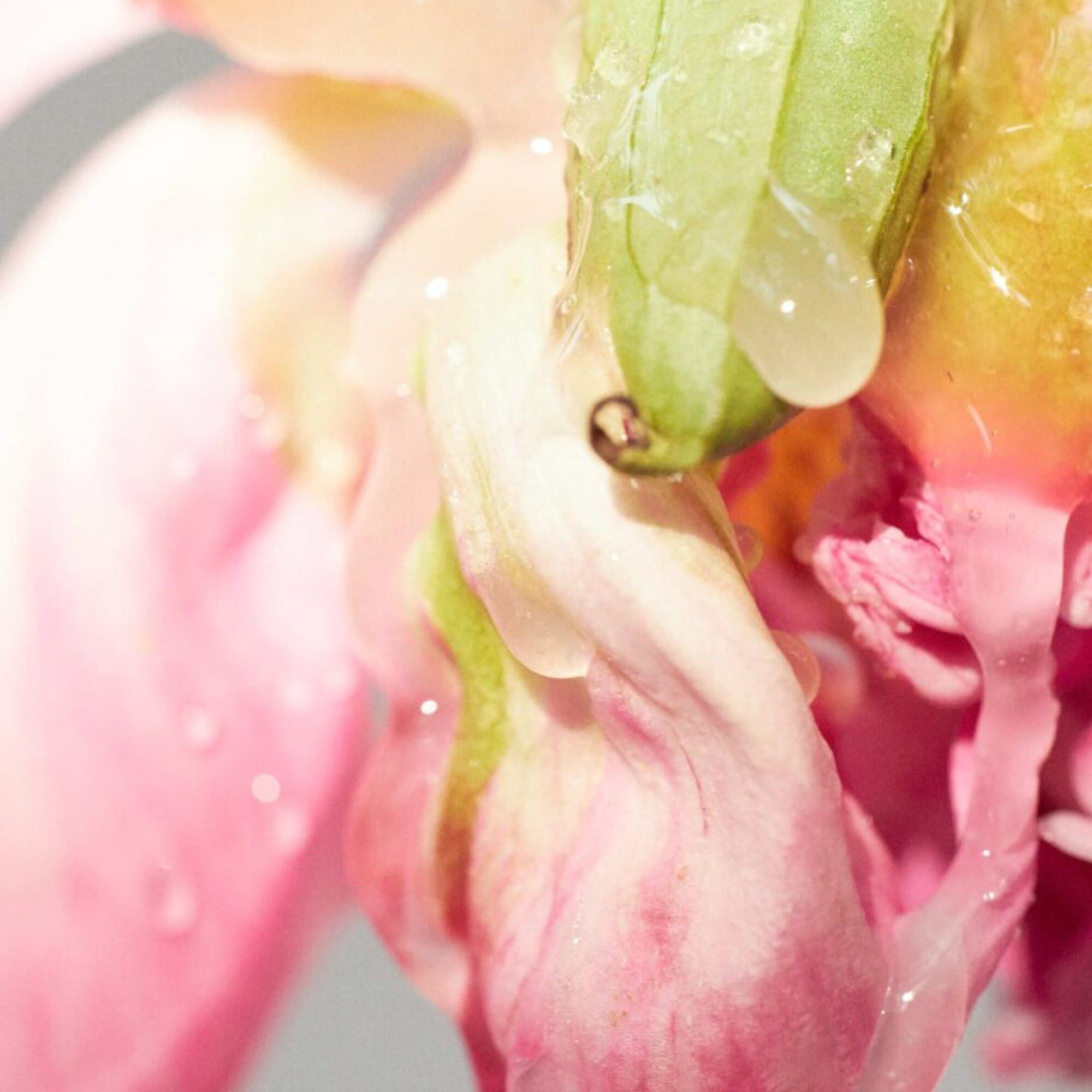 EMIL &Eacute;LISE Painting it Sweet EdP 100 ml