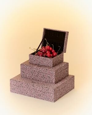 Day Print Jewelry Case Small