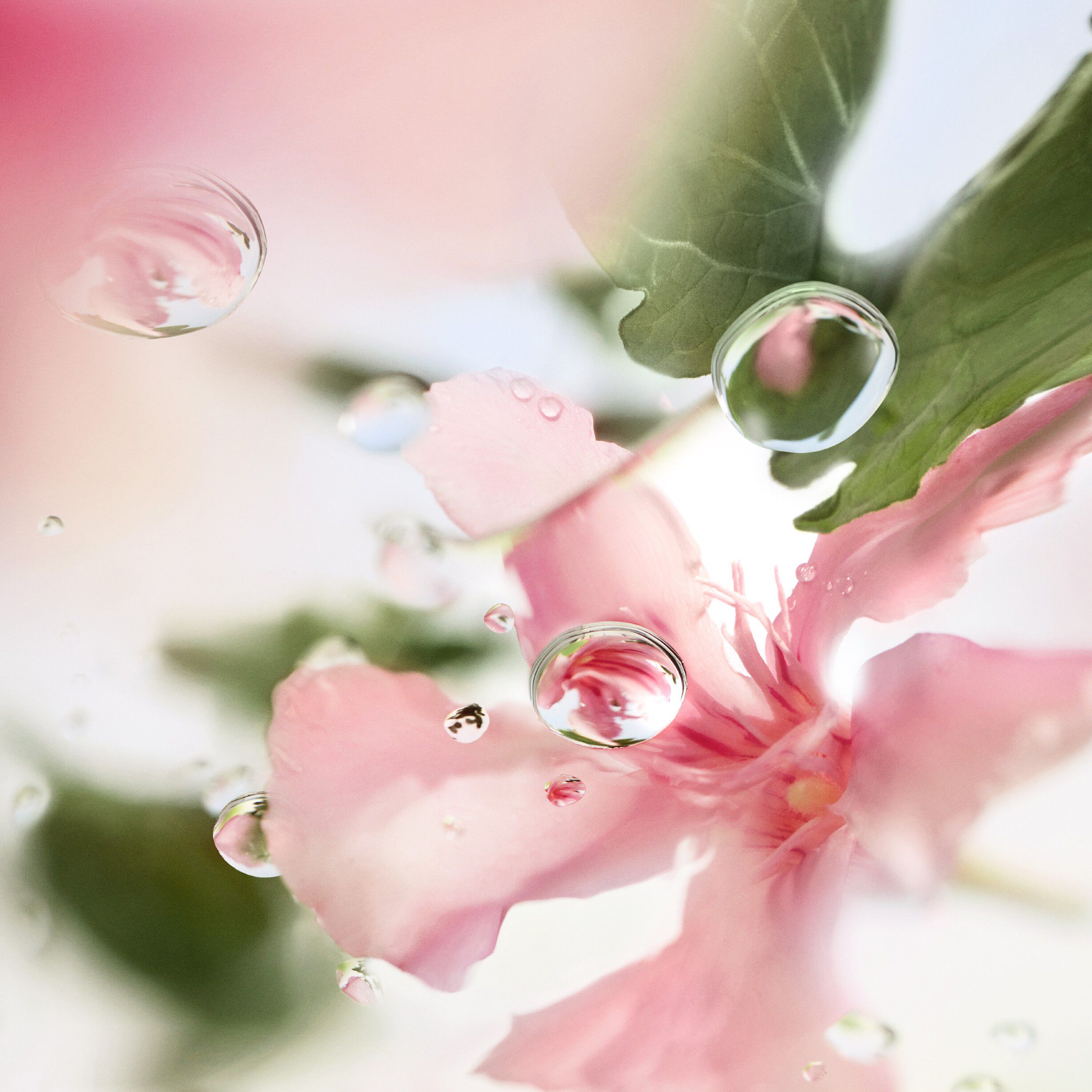 LC ODL OVER THE TOP EDT V100ml