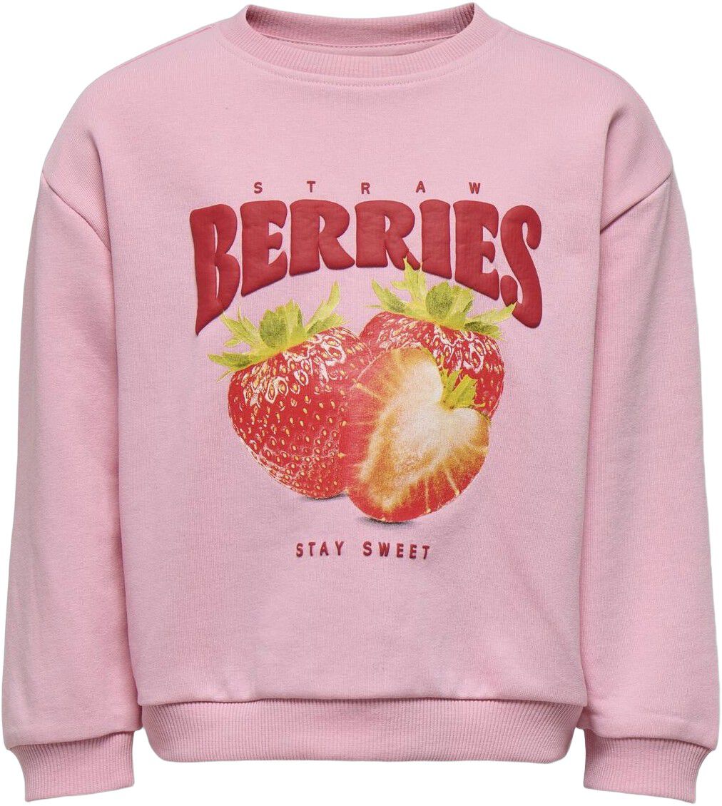 Kmgsina Ls Loose Printed O-Neck Ub Swt