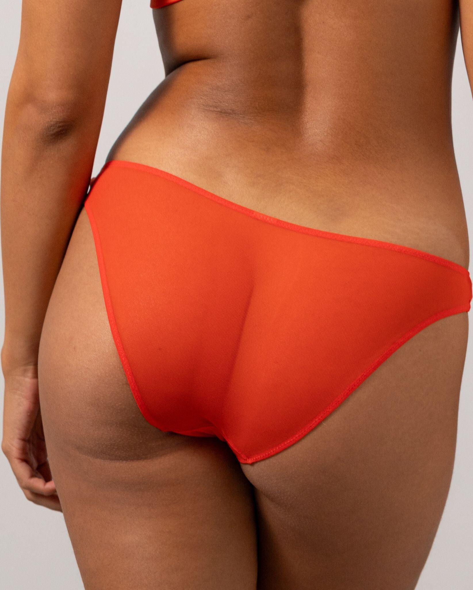 Mesh Bikini Briefs