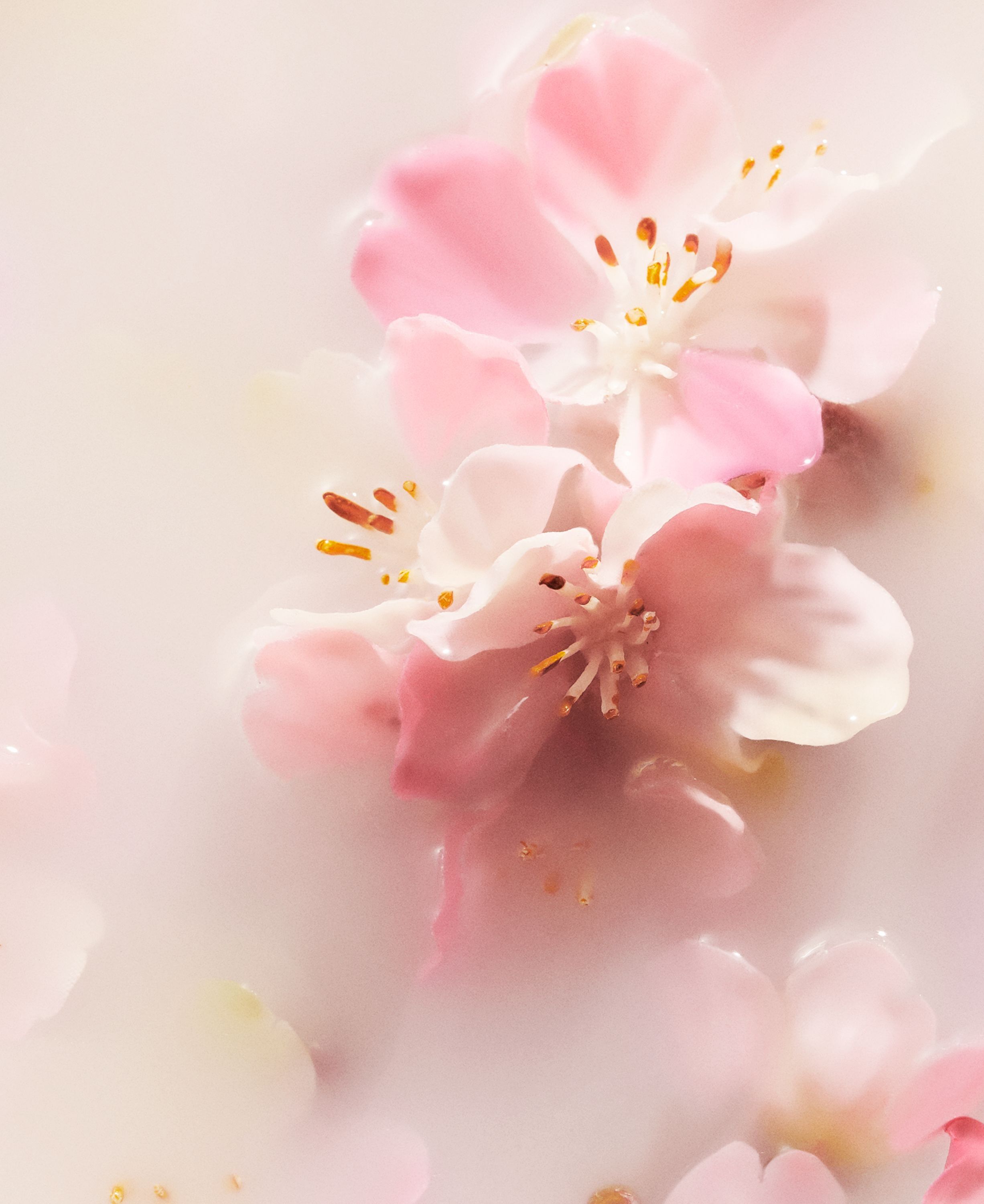 The Ritual of Sakura Fragrance Sticks 250ml